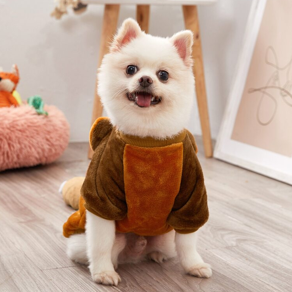 Pet Care & Essentials