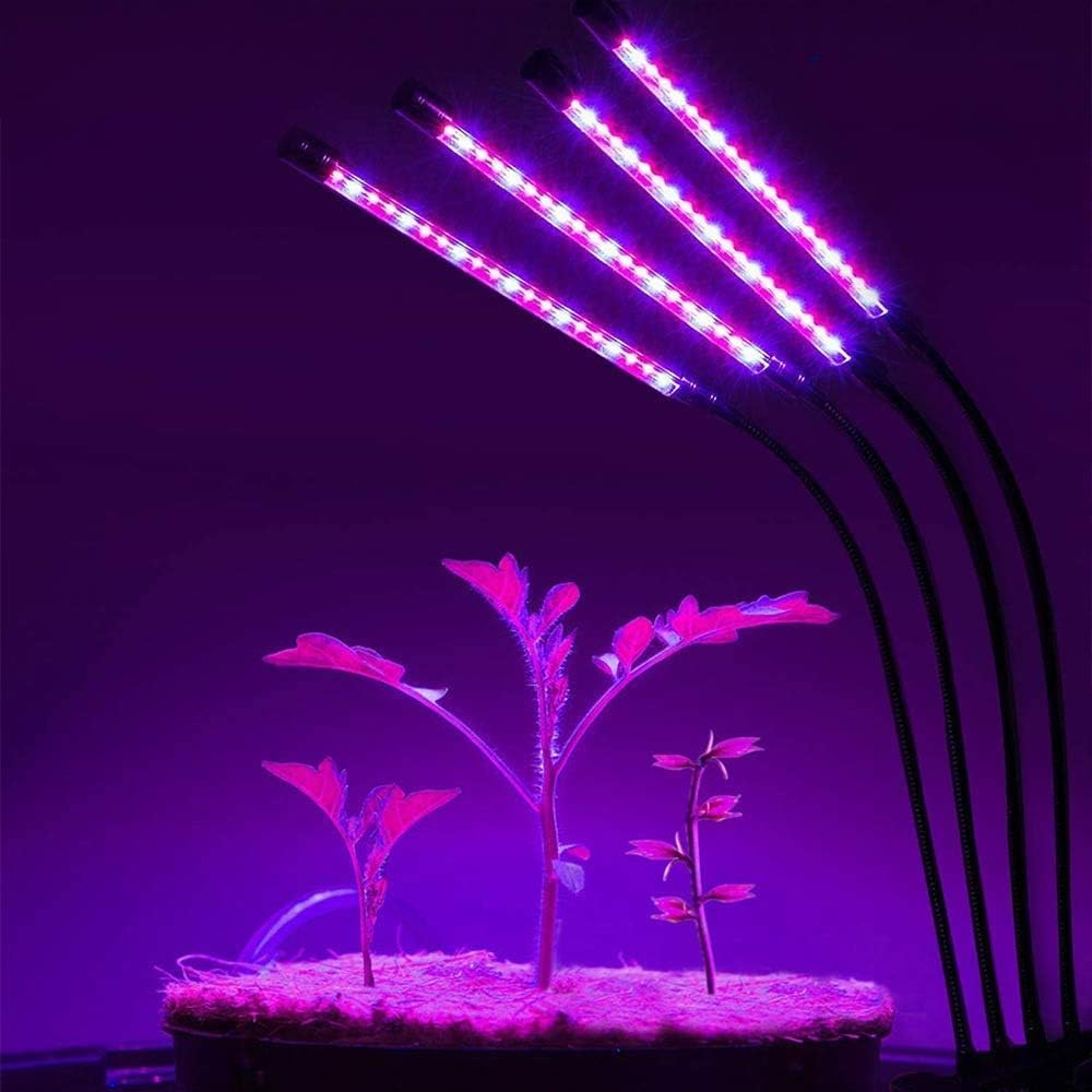 Grow Light for Indoor Plants
