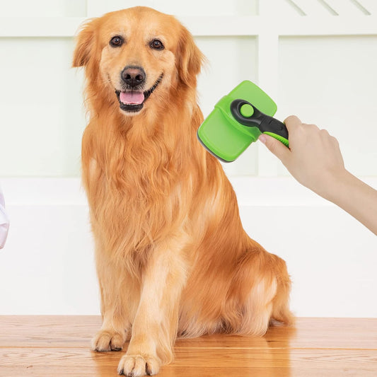 Self Cleaning Dog Brush
