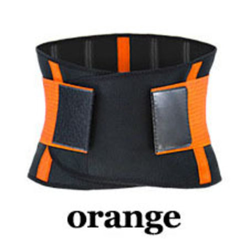 Waist Support Belt Back Belt