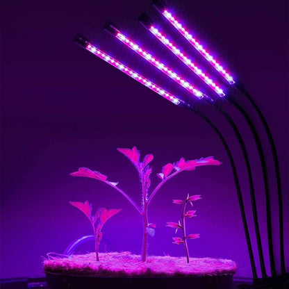 Grow Light for Indoor Plants